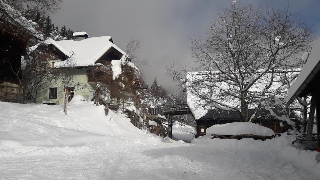 Apartments Berghof Familie Steinwender Pölling 外观 照片