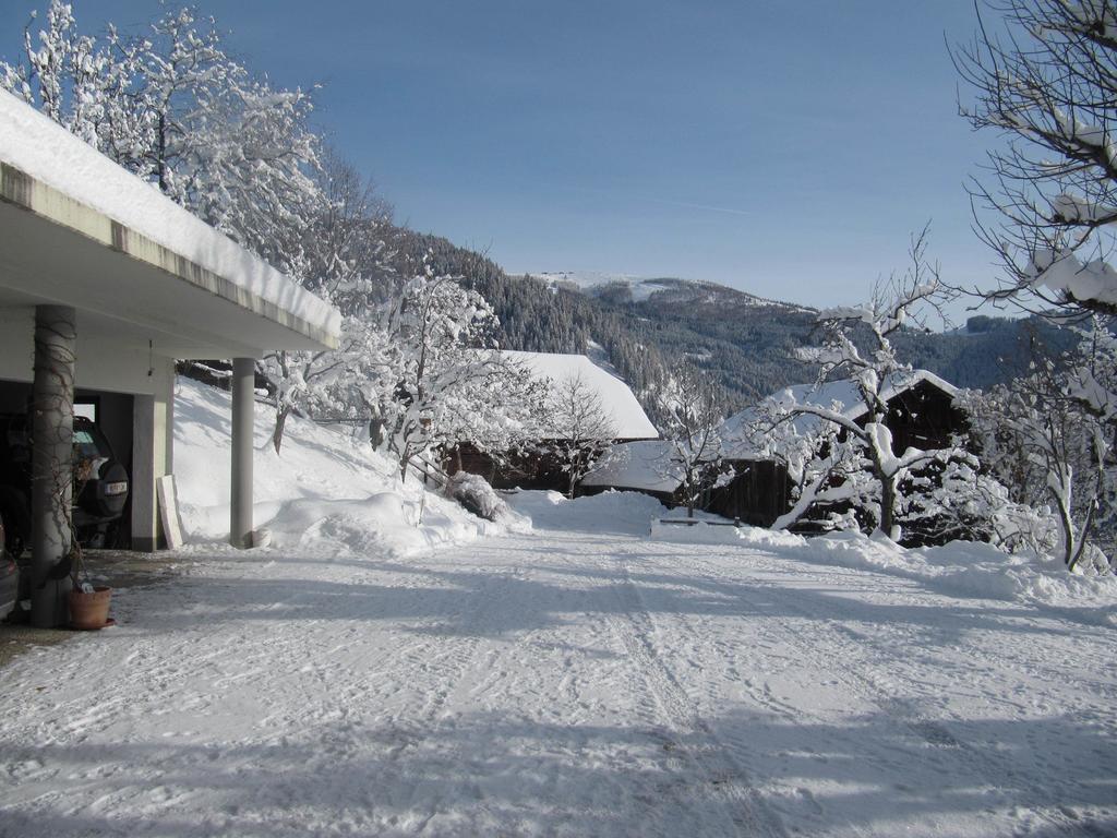 Apartments Berghof Familie Steinwender Pölling 客房 照片