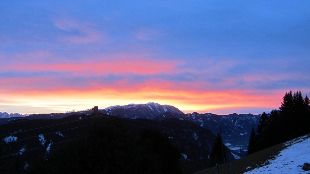 Apartments Berghof Familie Steinwender Pölling 客房 照片