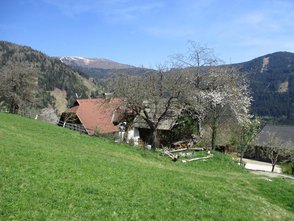 Apartments Berghof Familie Steinwender Pölling 外观 照片