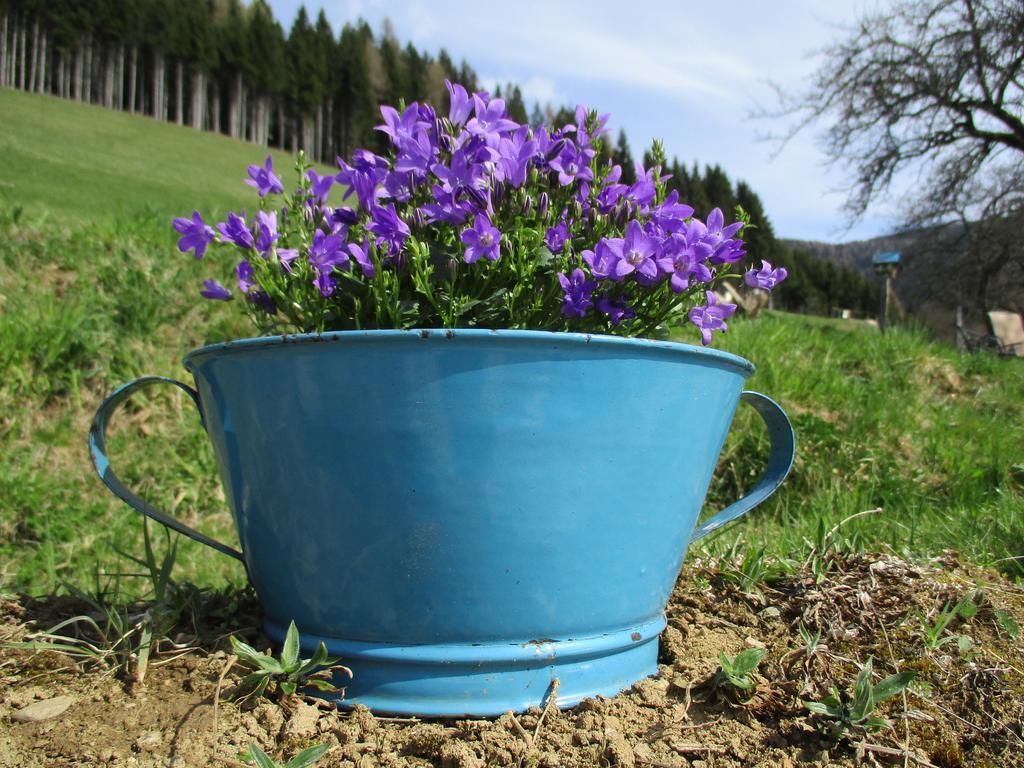 Apartments Berghof Familie Steinwender Pölling 外观 照片