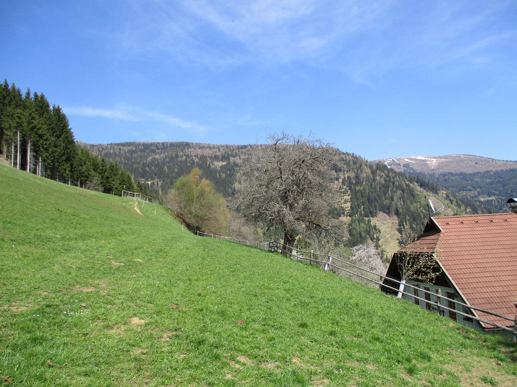 Apartments Berghof Familie Steinwender Pölling 外观 照片